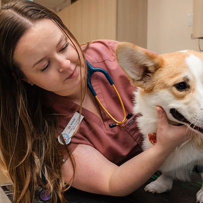 Veterinarians