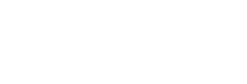 delawarenorth logo