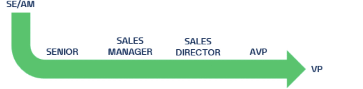 Career Journey