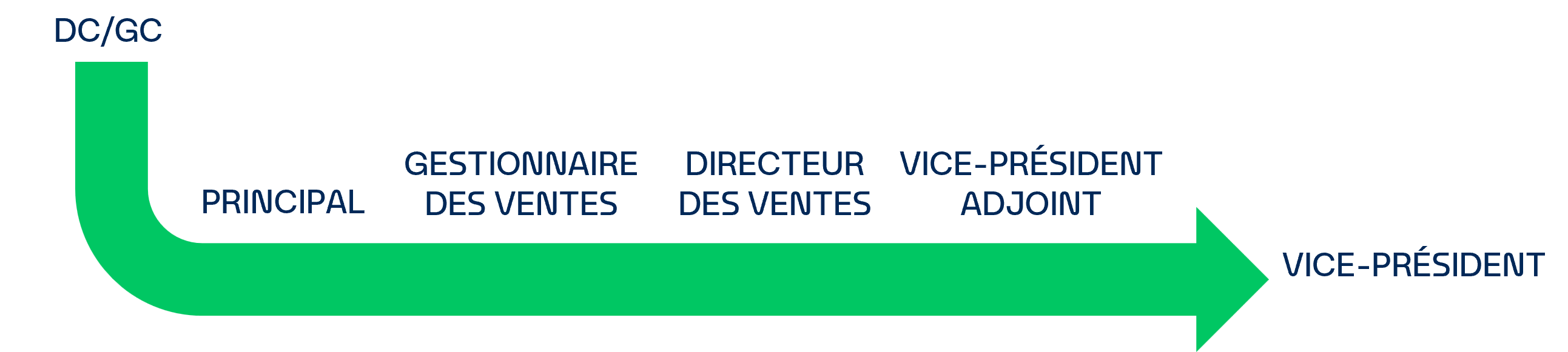 Parcours de carrière