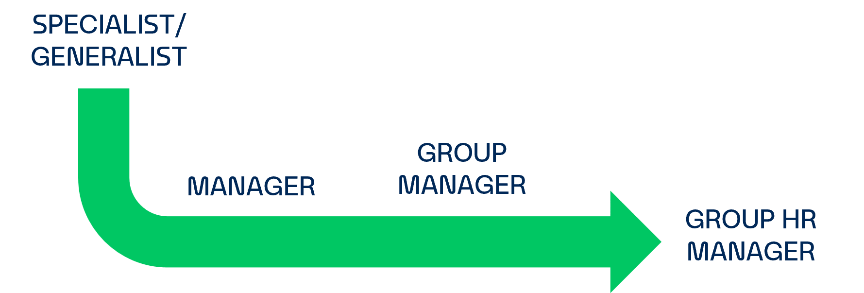 Career Journey