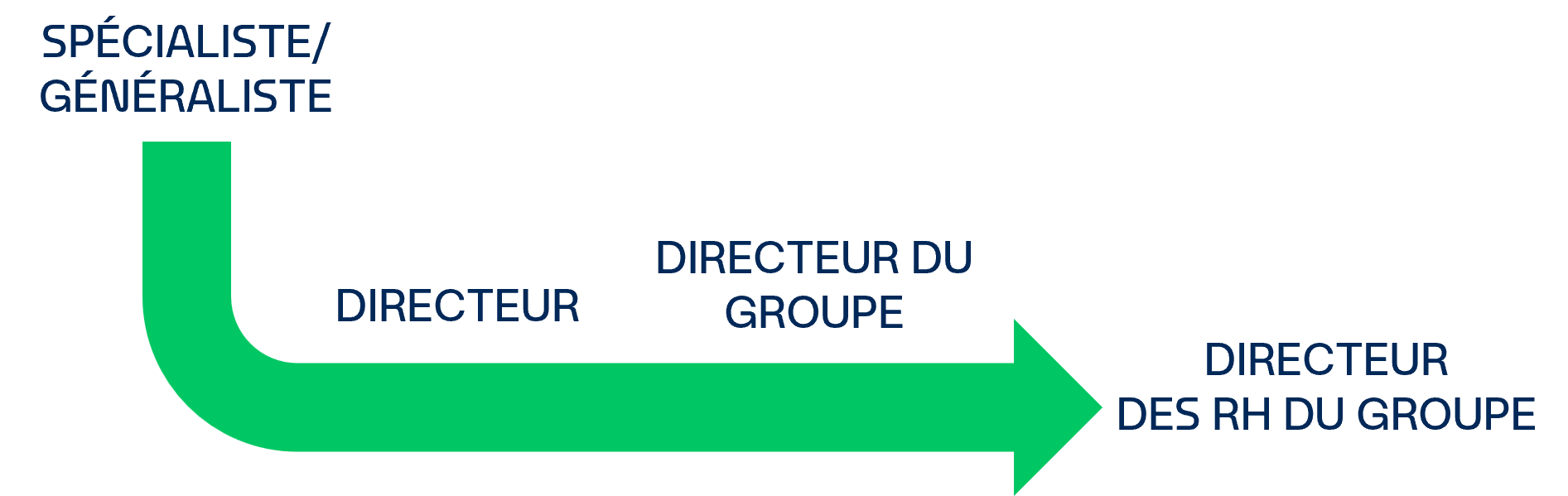 Parcours de carrière
