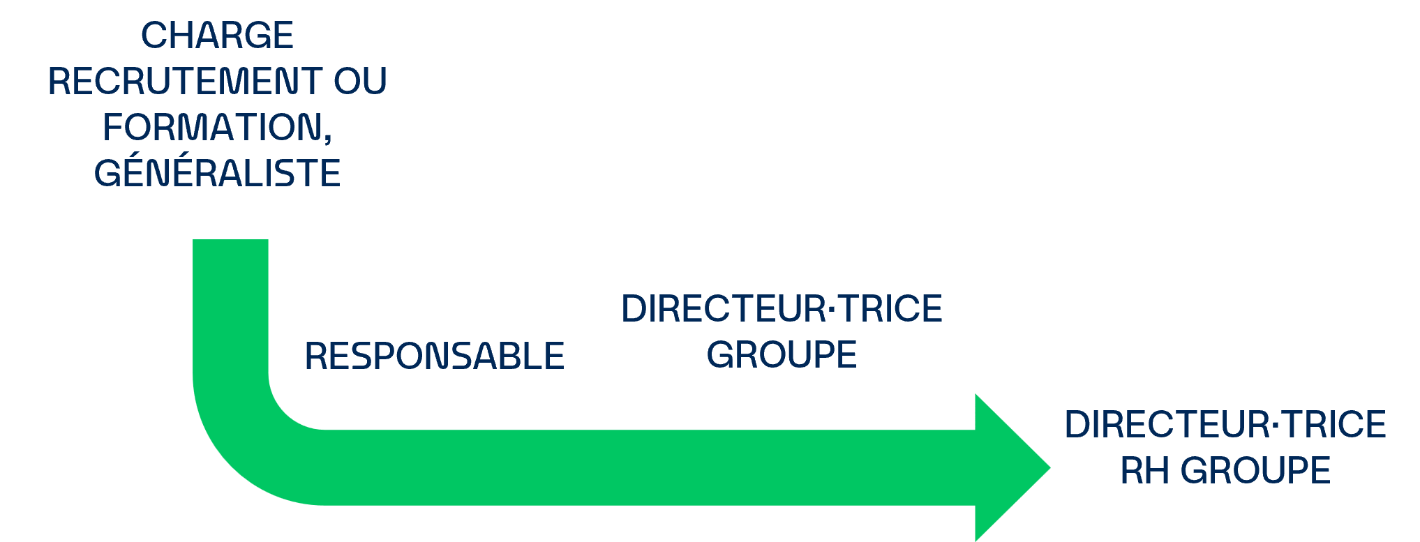 Évolution professionnelle