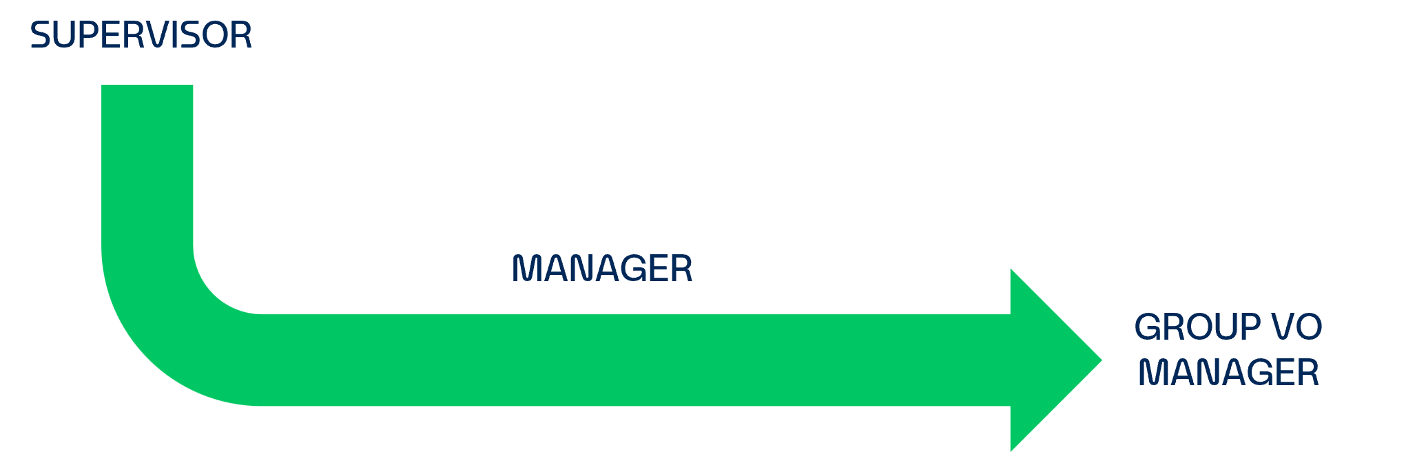 Trayectoria profesional​