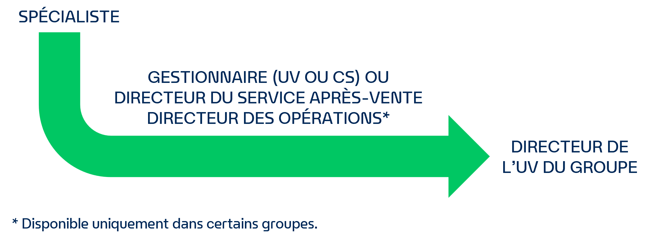 Parcours de carrière​