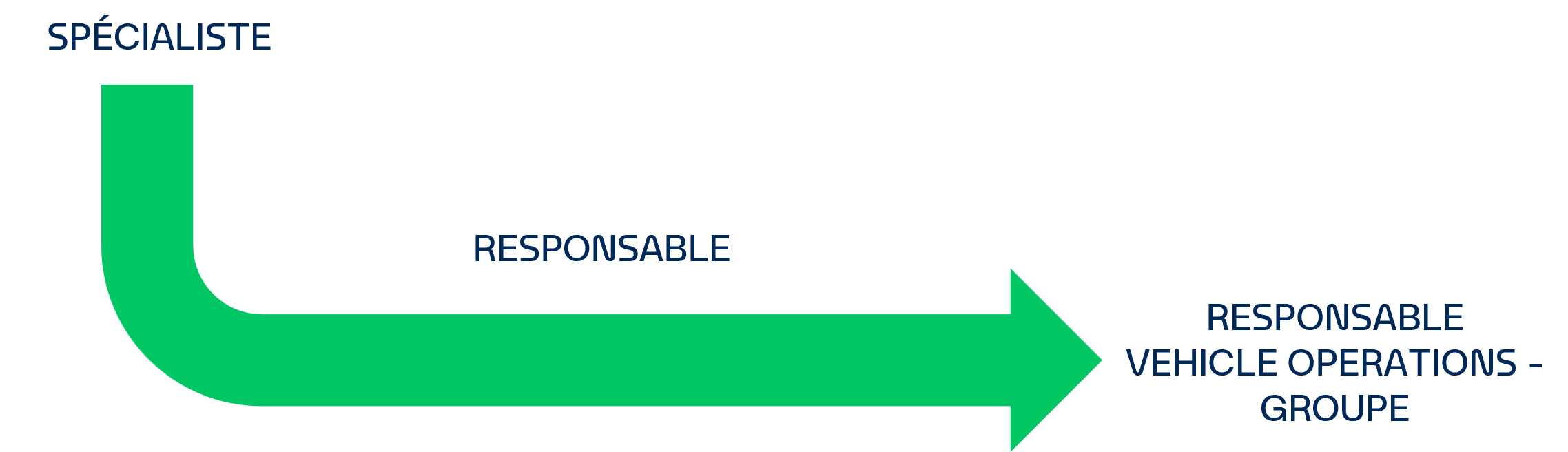 Évolution professionnelle​