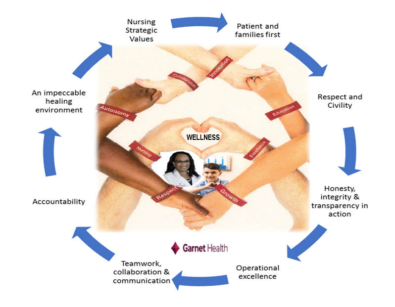 Professional Certification Program and Lifelong Learning