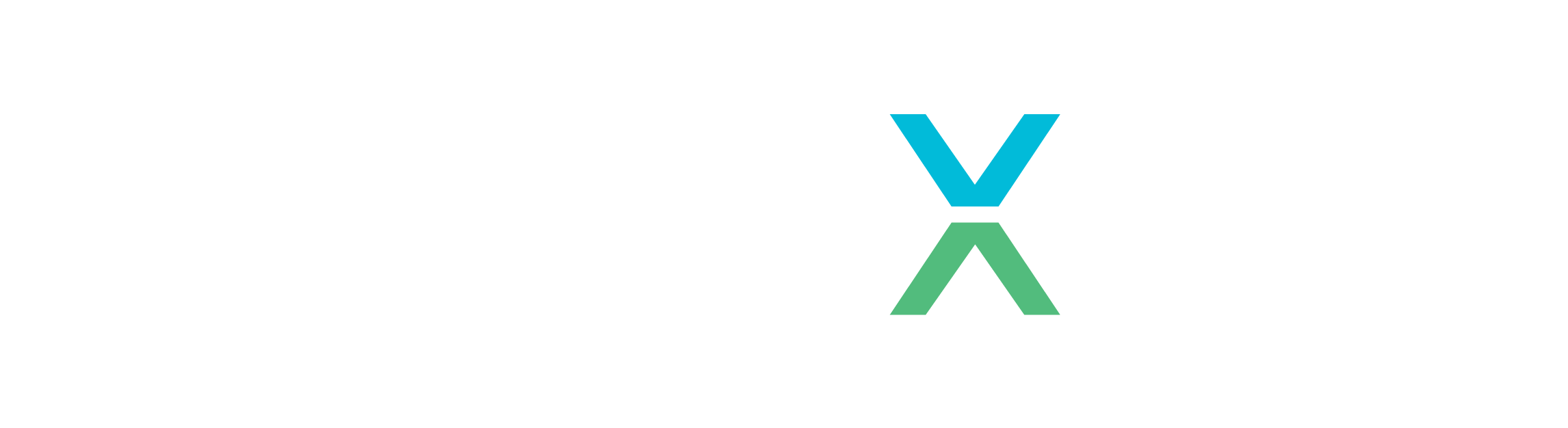 sanexen footer logo