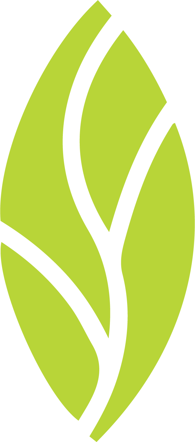 Mint Dentistry Careers About Us