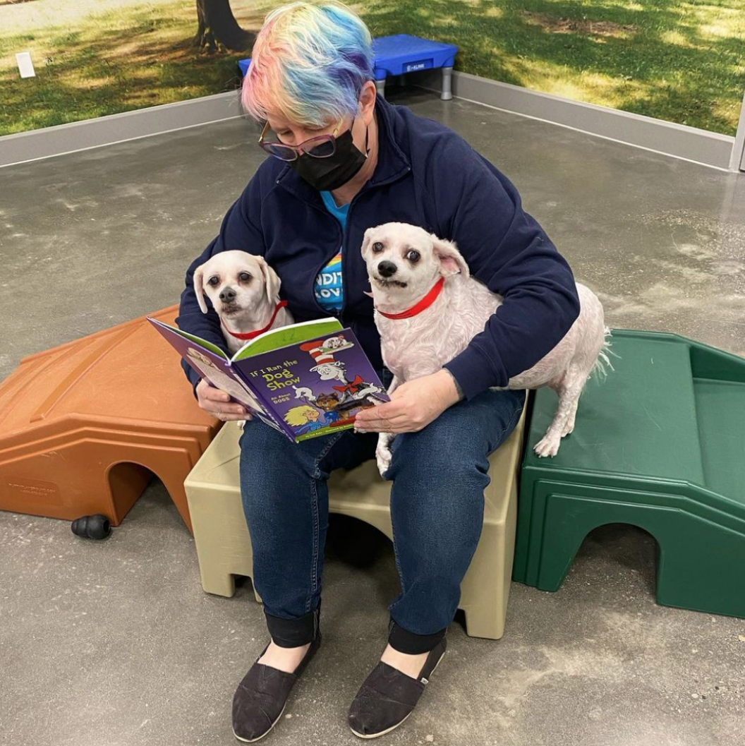 Working in Our PetsHotel Careers at PetSmart Apply