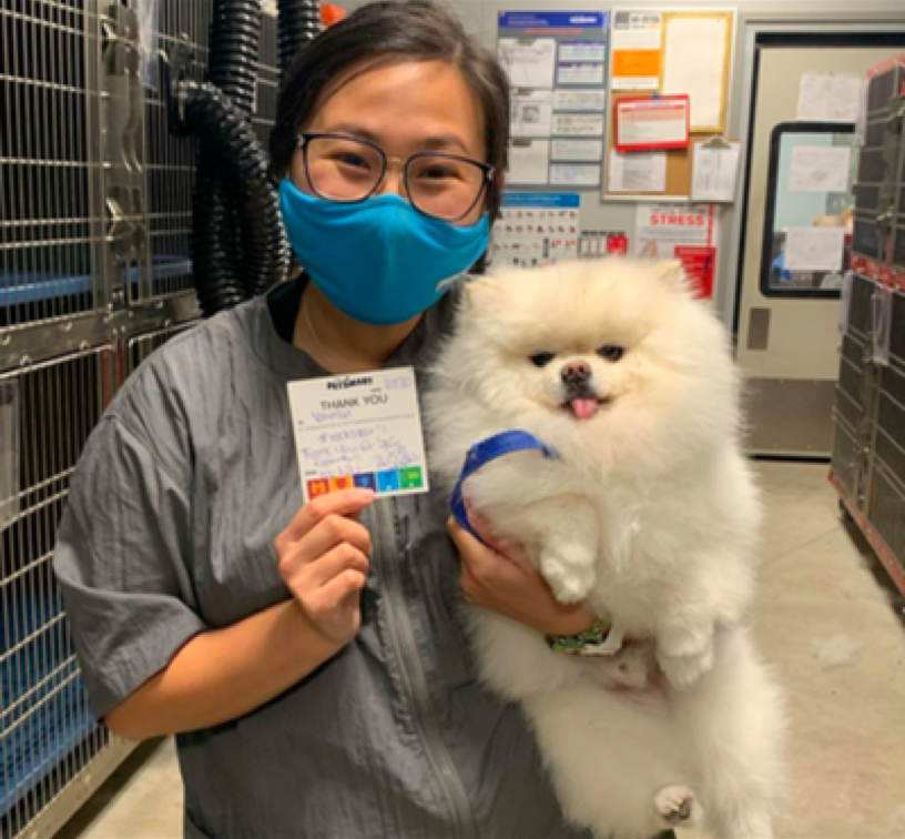 Petsmart Distribution Columbus Ohio RTELEY