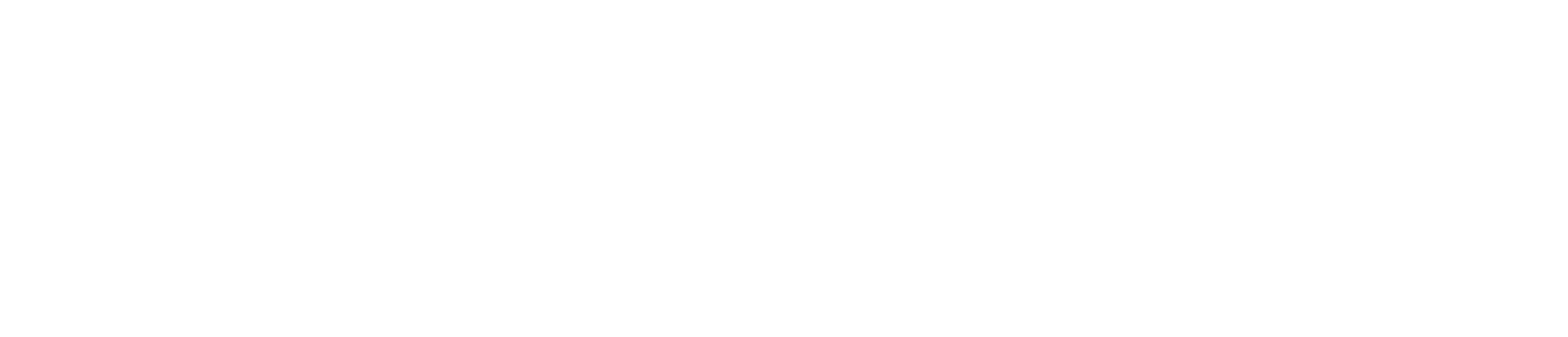 Hudson Valley Radiology Associates logo