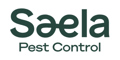 LP.SKU-15.IMG_16_ALT