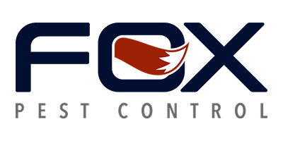 LP.SKU-15.IMG_17_ALT