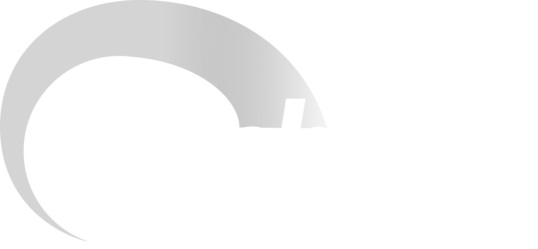 snf axchem logo