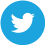 twitter icon