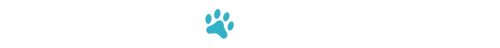 You + SVP | Amazing Together