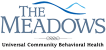 The Meadows Psychiatric Center