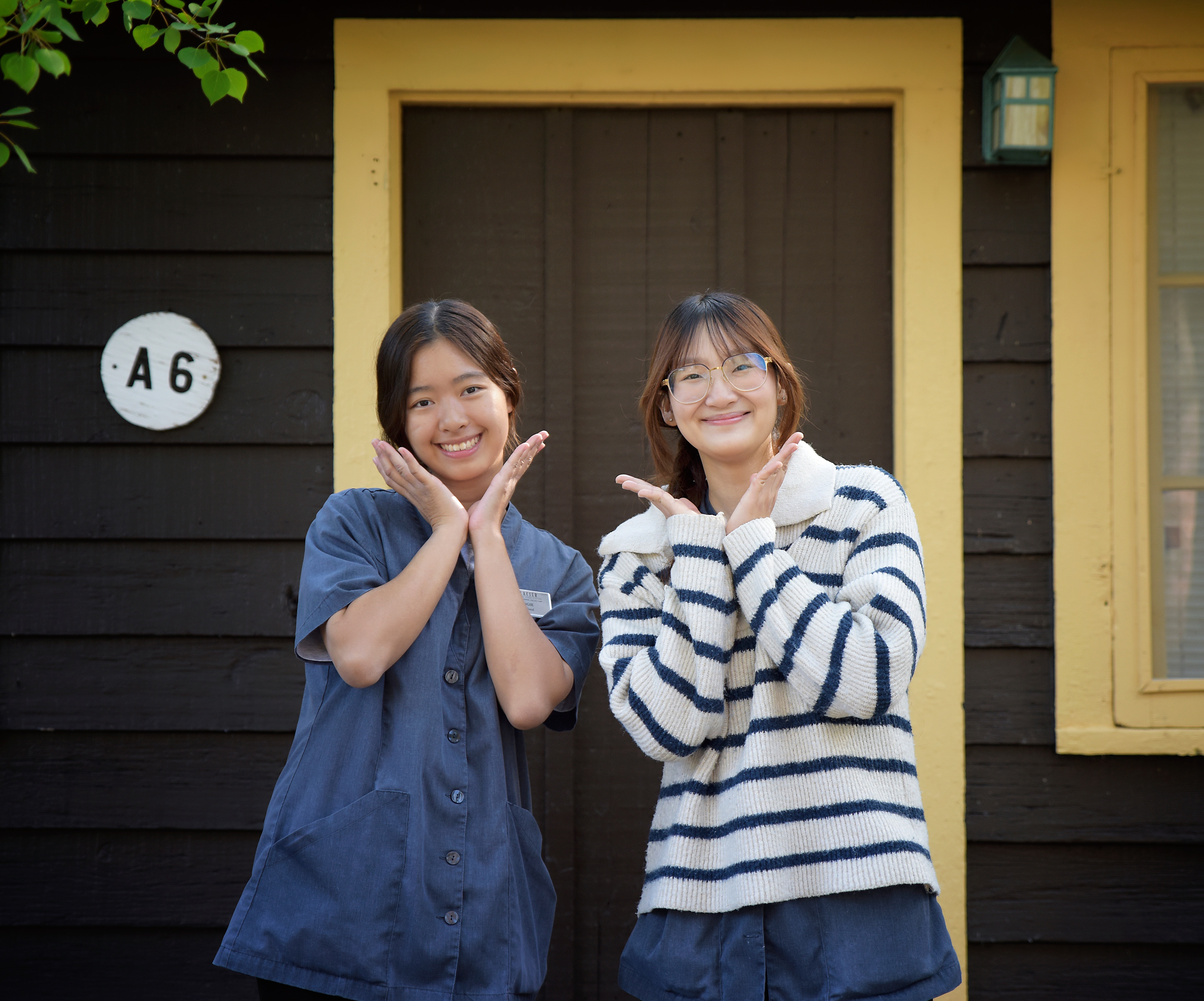 LP.SKU-H-TABS-2.IMG_ALT_3