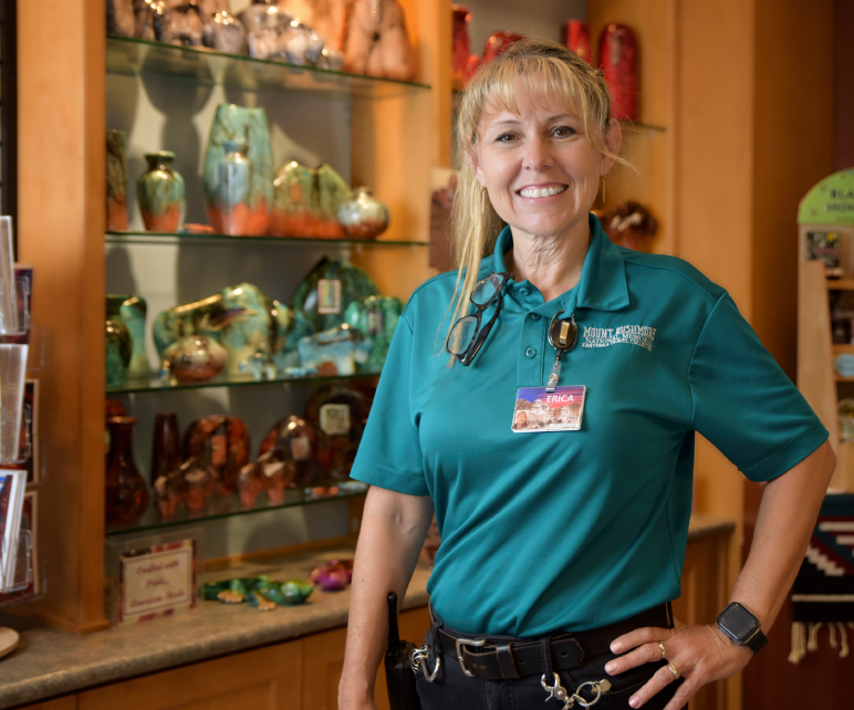 LP.SKU-H-TABS.IMG-ALT-1